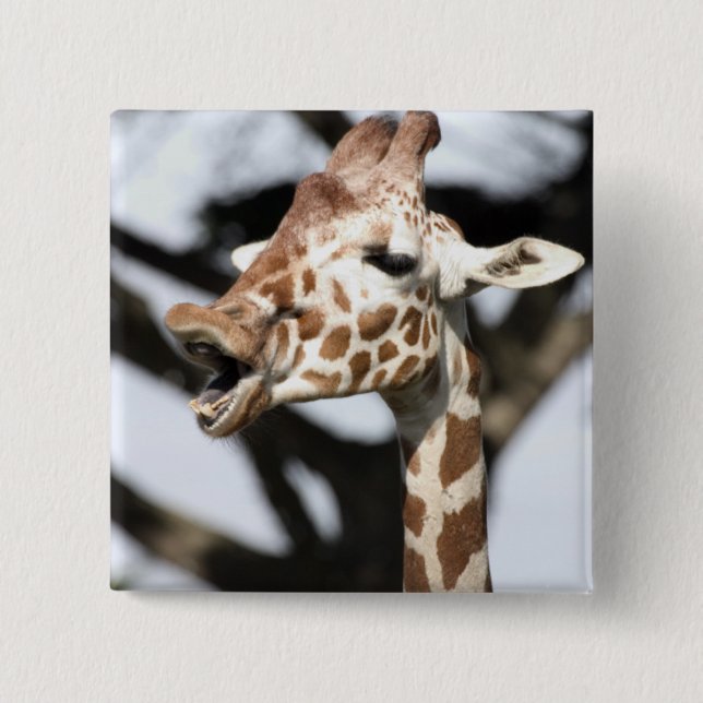 Funny konfrontiert reticulated Giraffe, San Franci Button (Vorderseite)