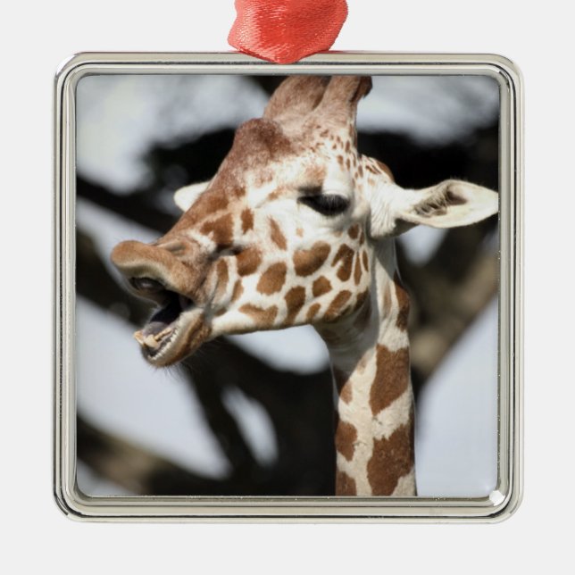 Funny konfrontiert reticulated Giraffe, San Franci Silbernes Ornament (Vorne)