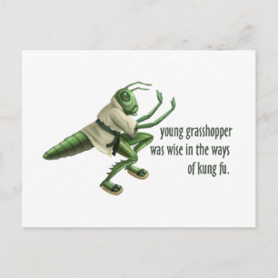 Funny Kung Fu Grasshopper Postkarte