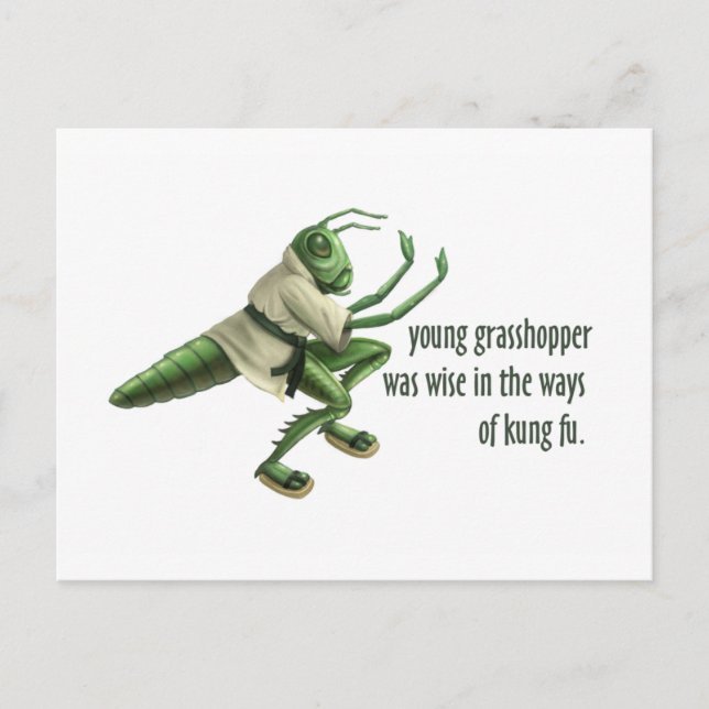 Funny Kung Fu Grasshopper Postkarte (Vorderseite)