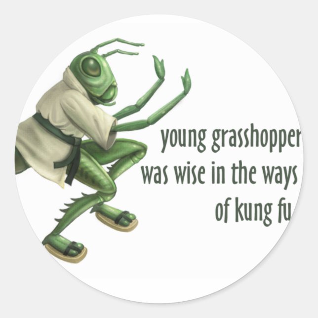 Funny Kung Fu Grasshopper Runder Aufkleber (Vorderseite)