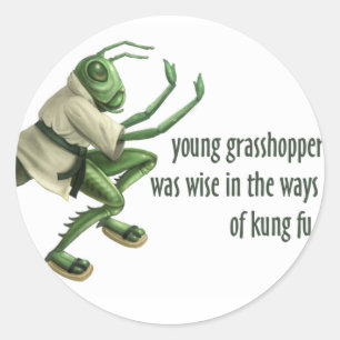 Funny Kung Fu Grasshopper Runder Aufkleber
