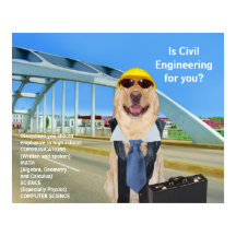 Funny Labrador Science Engineering Poster