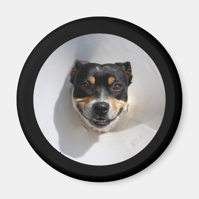 Funny Lächelhund Magnet (Vorne)