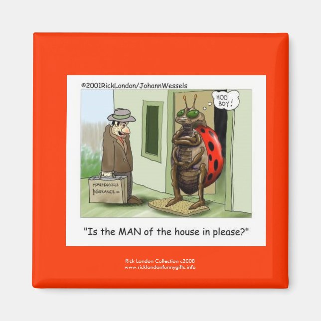 Funny Ladybug Cartoon über Qualitätsneuheit Magnet (Vorne)