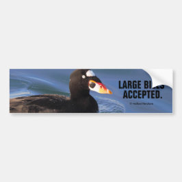 Funny Large Bills Accepted Surf Scoter Duck Autoaufkleber