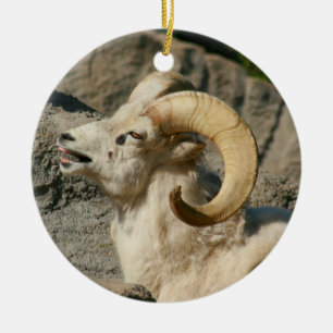 Funny Laughing Bighorn Sheep oder Ram Keramikornament