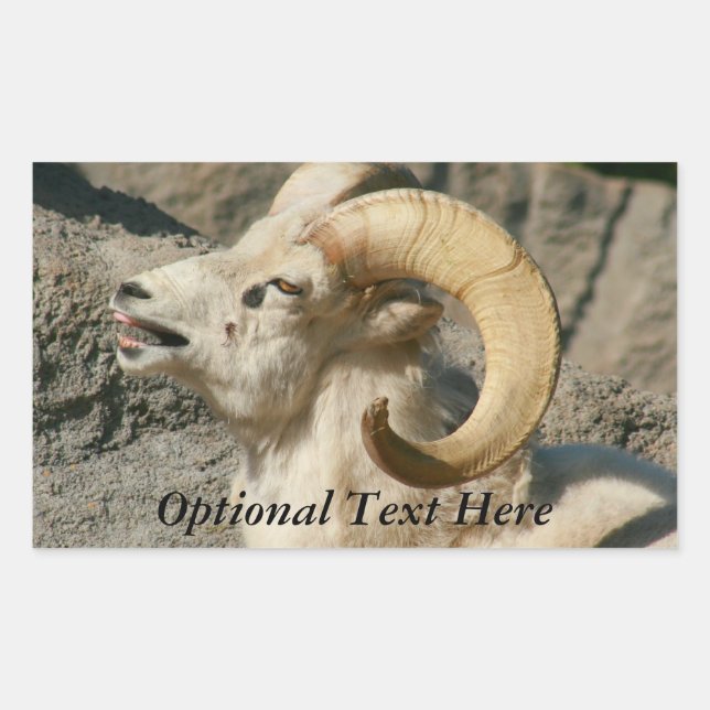 Funny Laughing Bighorn Sheep oder Ram Rechteckiger Aufkleber (Vorderseite)