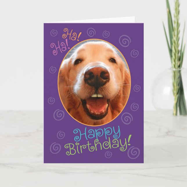 Funny Laughing Golden Retriever Birthday Card Karte (Vorderseite)