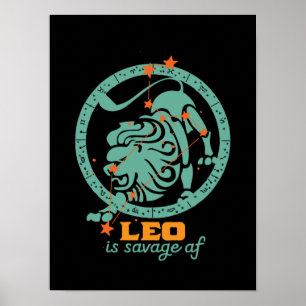 Funny Leo Zodiac Star Sign Astrologie Geburtstag Poster
