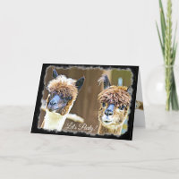 Funny Let's Party Alpaca Geburtstagkarte