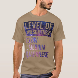Funny Level of Awesomeness Low Medium Gift Japan J T-Shirt