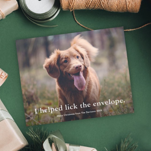 Funny Lick the Envelope Weihnachtskarte für Hausti (Funny pet photo christmas holiday cards.)