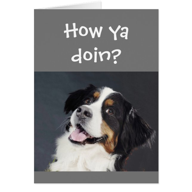 Funny Lighthearted Thinking You Niedlich Dog (Vorne)