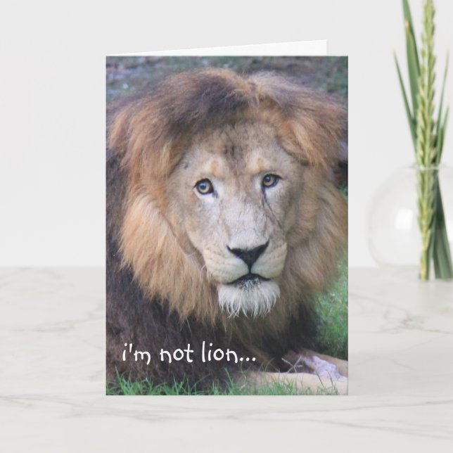 Funny Lion Birthday Card Karte (Vorderseite)