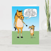 Funny Little Horse kommt bald wieder gut