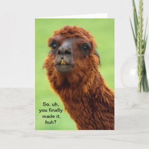 Funny Llama Abschluss Card Karte