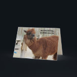 Funny Llama Birthday Card Karte<br><div class="desc">Funny Llama Birthday Card Text kann leicht personalisiert werden - oder den von mir ausgewählten Text behalten werden - Hoffe,  dein Geburtstag ist ein ganz besonderer Lama-Spaß,  denn du bist so toll.</div>