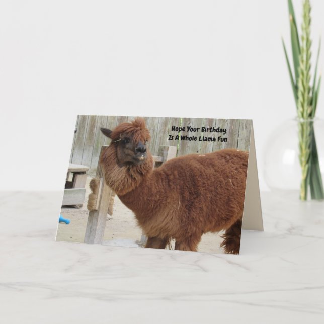 Funny Llama Birthday Card Karte (Vorderseite)