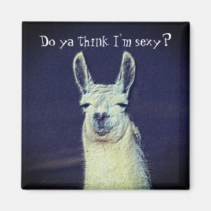 Funny Llama Face Magnet