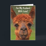 Funny Llama "For My Husband" Geburtstagskarte Karte<br><div class="desc">Zeig deinem Mann,  wie sehr du ihn mit dieser unterhaltsamen Lama-Karte Liebe! Personalisieren Sie die Botschaft und lassen Sie seine Träume wahr werden. Vielen Dank für die Suche! Foto ©Christine Greenspan</div>