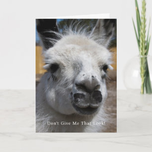 Funny Llama Foto gibt mir nicht, dass ich grüße au Karte