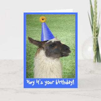 Funny Llama Geburtstagskarte oder Einladung