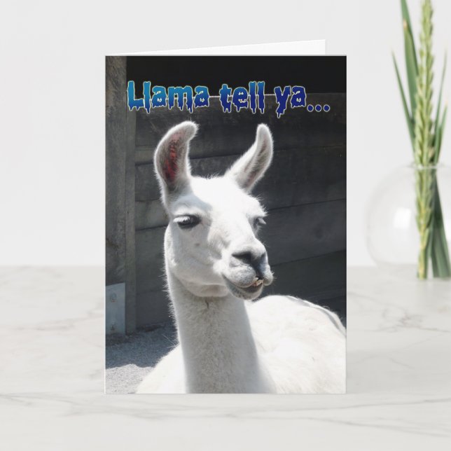 Funny Llama Happy Birthday Grußkarte Karte (Vorderseite)