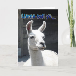 Funny Llama Happy Birthday Grußkarte Karte