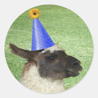 Funny Llama in Party Hutkleber Runder Aufkleber