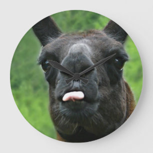 Funny Llama with Major Einstellung & Pink Tongue Große Wanduhr