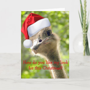 ©Funny Looking Ostrich Santa Custom Feriencard Feiertagskarte