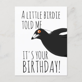 Funny Magpie Postkarte
