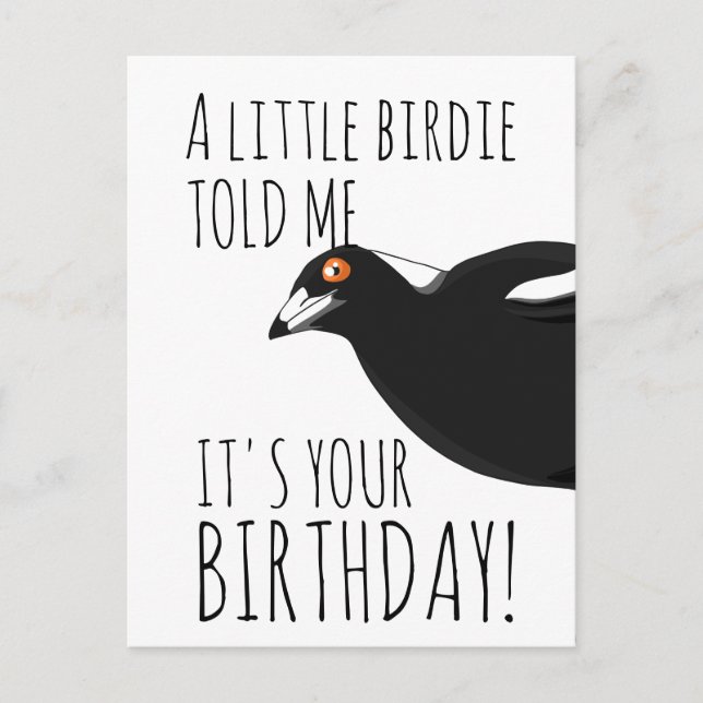 Funny Magpie Postkarte (Vorderseite)