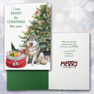 Funny Malamute Dog Weihnachten bereit