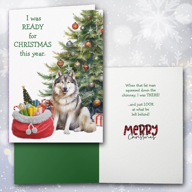 Funny Malamute Dog Weihnachten bereit (Von Creator hochgeladen)