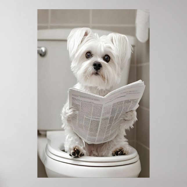 Funny Maltese Dog Bathroom Print, Newspaper Art Poster (Vorne)
