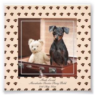 Funny Manchester Terrier FOTO zum Keepake