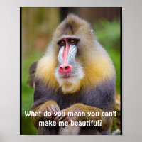 Funny Mandrill Stylisten