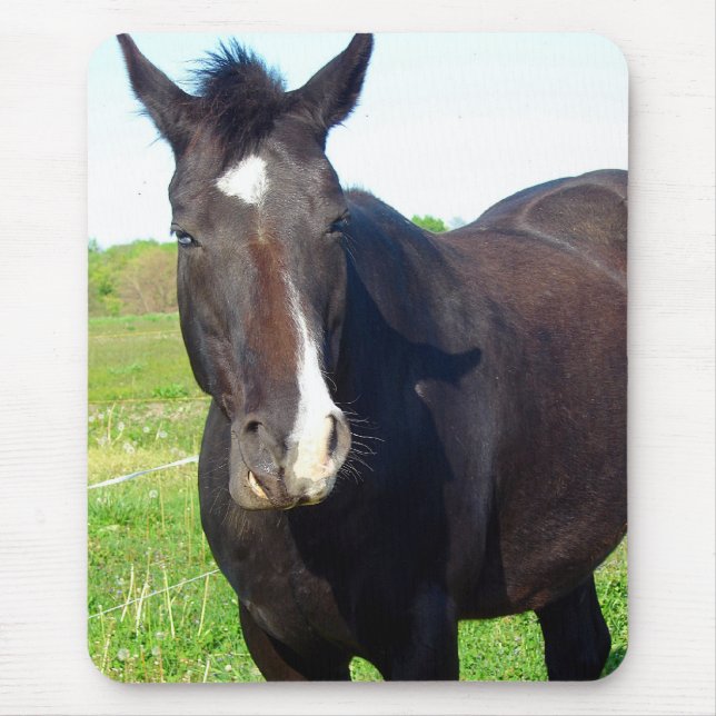 Funny Mare Mousepad (Vorne)