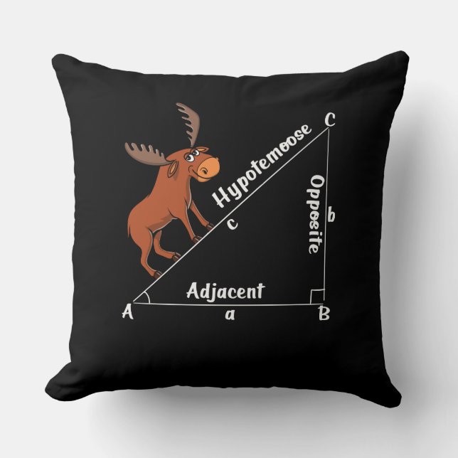 Funny Math Hypotemoose Geometry Else Joke Pun Kissen (Vorderseite)
