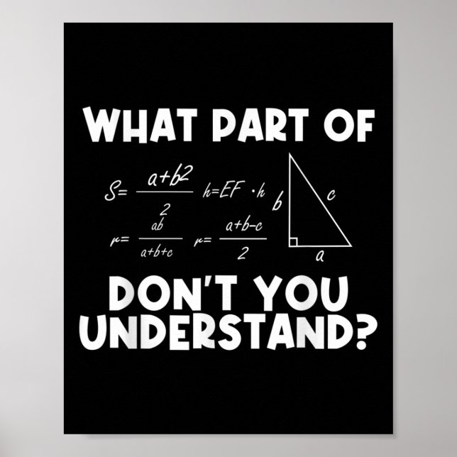Funny Math Quote Mathematics Dear Math Teacher Sol Poster (Vorne)