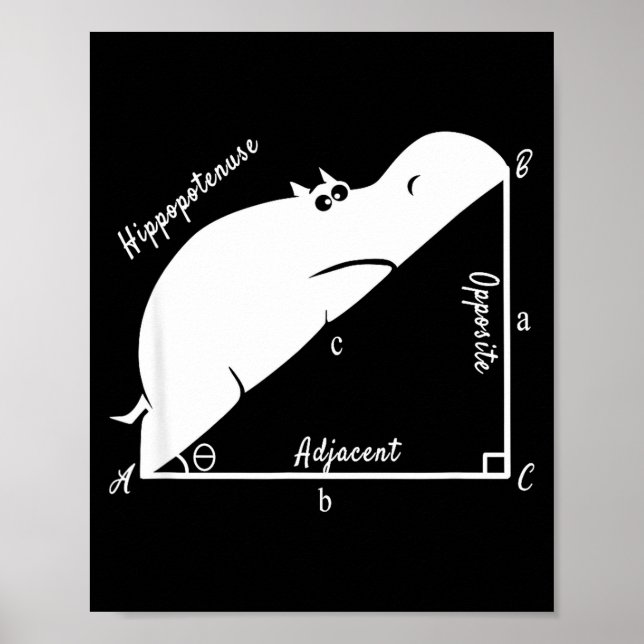 Funny Math Teacher,funny Hiptenuse,geometry Teache Poster (Vorne)