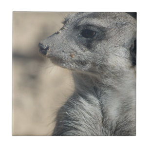 Funny Meerkat Fliese