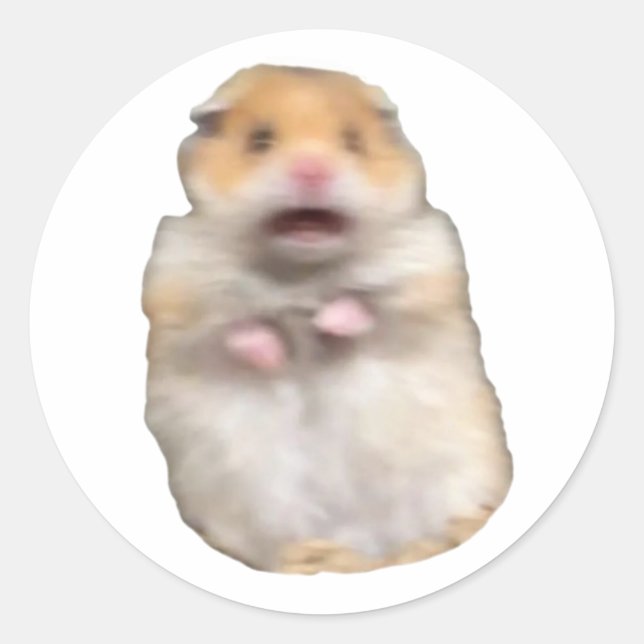 funny meme cat runder aufkleber (Vorderseite)