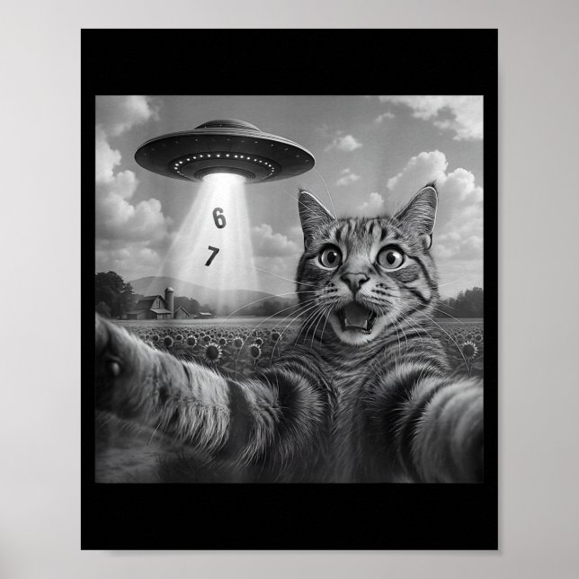 Funny Meme Cat Selfie Six Seven Retro Cat 67 Anima Poster (Vorne)