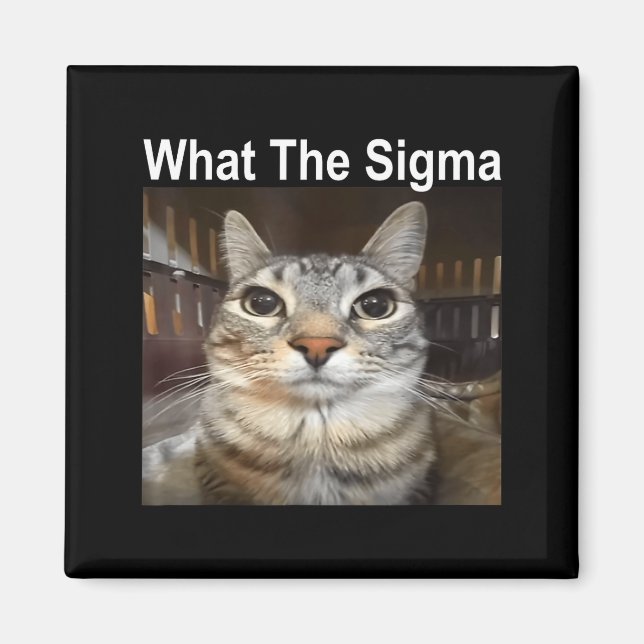 Funny Meme Cat What The Sigma Cute Cat Meme Quote  Magnet (Vorne)