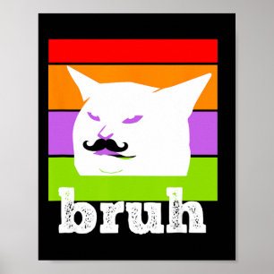 Funny Meme Sprichwort Bruh mit Cat-cinco De Mayo-m Poster