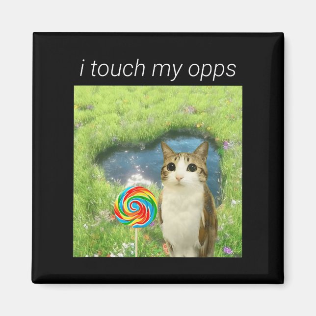 Funny Meowl Meme, Cat Owl Meme Brainrot Gen Alpha  Magnet (Vorne)