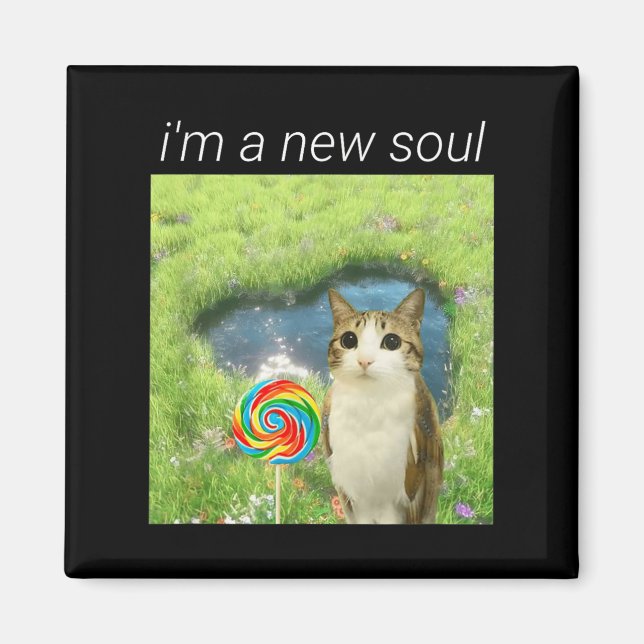 Funny Meowl Meme, Cat Owl Meme Brainrot Gen Alpha  Magnet (Vorne)